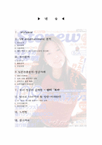 [국제마케팅]가수 `보아`의 세계진출 마케팅 전략-2