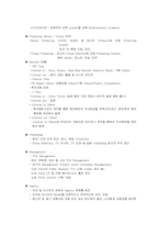 [국제마케팅]가수 `보아`의 세계진출 마케팅 전략-5