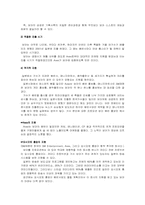 [국제마케팅]가수 `보아`의 세계진출 마케팅 전략-16