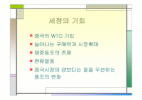 [국제마케팅](주)세정 중국진출 전략- 의류업체-6