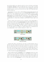 [사이버 문화]인터넷 전자 지불시스템의 현황-3