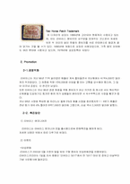 [마케팅]리바이스 엔지니어진 마케팅 분석-8