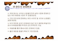 [창업계획서]인터넷 애완동물판매 사업계획서-4