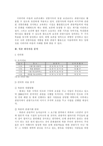 [관광계획 및 개발론] 북촌 한옥마을 활성화방안-8
