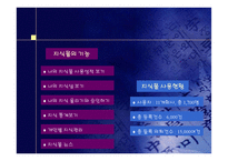 [성공전략]이랜드(ELAND)사의 성공요인 분석-16