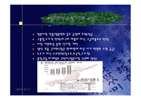 [제품전략분석]진로 참이슬의 SWOT분석 및 결론-20