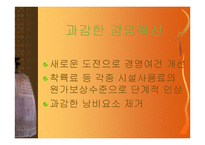 [경영성공사례]공항공단의 경영실태 및 발전 가능성에 대한 비전 제시-15