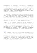 [마케팅사례]밀러(Miller)맥주의 성공사례-2