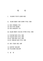 [학사][국제통상] 유로화 출범이 미치는 영향과 한국의 대응방안-2