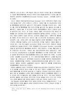 [학사][국제통상] 유로화 출범이 미치는 영향과 한국의 대응방안-4