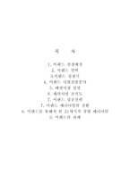 [경영전략] 이랜드를 통해서 본 21세기적 경영 패러다임-16