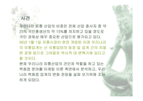 [유통관리]현대백화점의 경영전략 분석 및 개선방향-3