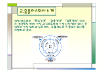 [유통업]대형유통할인점 홈플러스 전략분석 및 향후전망-7