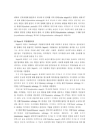 [진로상담]중학생의 성별 선호 직업에 대한 조사 연구-5