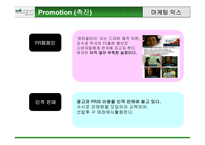 [마케팅전략] 선발주자와 후발주자 마케팅비교분석- 다움생식, 황성주생식-18