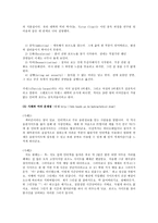 [성심리학] 사이버공간의 성담론 분석 -포르노, 채팅 그리고 게시판에 관하여-6
