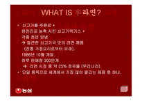 [국제마케팅]신라면의 중국 진출-3