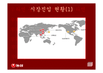 [국제마케팅]신라면의 중국 진출-4