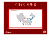 [국제마케팅]신라면의 중국 진출-5