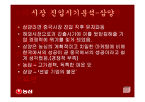 [국제마케팅]신라면의 중국 진출-17