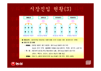 [국제마케팅]신라면의 중국 진출-19