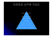 [인적자원관리] 대한항공과 아시아나항공의 교육훈련 비교 및 분석-5