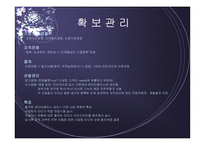 [인사관리] LG CNS, 혁신적 인사관리-4