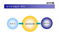 [광고전략]네이트 닷컴 홍보기획서 - 포털 사이트로서의 인지도 향상 및 실사용자 증대를 위한 방안-7