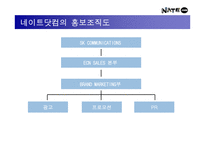 [광고전략]네이트 닷컴 홍보기획서 - 포털 사이트로서의 인지도 향상 및 실사용자 증대를 위한 방안-8