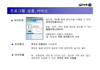 [광고전략]네이트 닷컴 홍보기획서 - 포털 사이트로서의 인지도 향상 및 실사용자 증대를 위한 방안-9