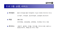 [광고전략]네이트 닷컴 홍보기획서 - 포털 사이트로서의 인지도 향상 및 실사용자 증대를 위한 방안-10