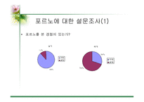 [사이버문화]사이버 공간에서의 성담론 - 포르노, 채팅,게시판에 대한 분석-3