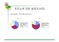 [사이버문화]사이버 공간에서의 성담론 - 포르노, 채팅,게시판에 대한 분석-5