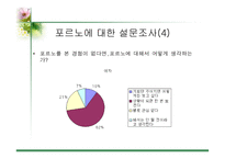 [사이버문화]사이버 공간에서의 성담론 - 포르노, 채팅,게시판에 대한 분석-6