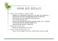 [사이버문화]사이버 공간에서의 성담론 - 포르노, 채팅,게시판에 대한 분석-8