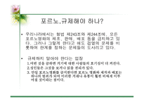 [사이버문화]사이버 공간에서의 성담론 - 포르노, 채팅,게시판에 대한 분석-11