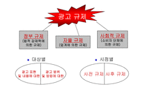 [광고전략]국내 광고 심의 현황-3