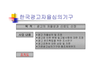 [광고전략]국내 광고 심의 현황-6
