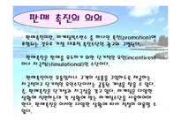 [광고홍보] 여행사 프로모션(판매촉진전략)-3