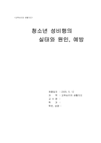 [청소년비행] 청소년 성비행의 실태와 원인, 예방-1