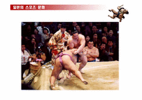 [일본문화] 일본의 스포츠문화-9