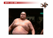 [일본문화] 일본의 스포츠문화-14