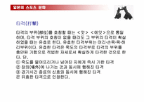 [일본문화] 일본의 스포츠문화-19