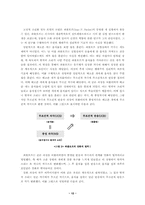 [매체광고학] 광고음악으로서의 징글Jingle의 시각화-14