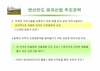 [레저심리] 변산반도의 레저산업 현황 및 문제점-12