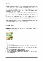 [일본음식문화] 일본의 라멘(라면)-8