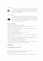 인도의 음식문화-5