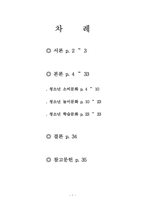 [청소년문화] 청소년 소비문화, 놀이문화, 학습문화-1