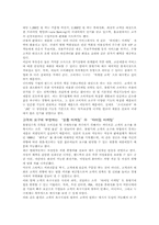 [글로벌브랜드] 쏘나타 마케팅-11