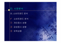 [마케팅전략] 연예인누드집 마케팅전략-12